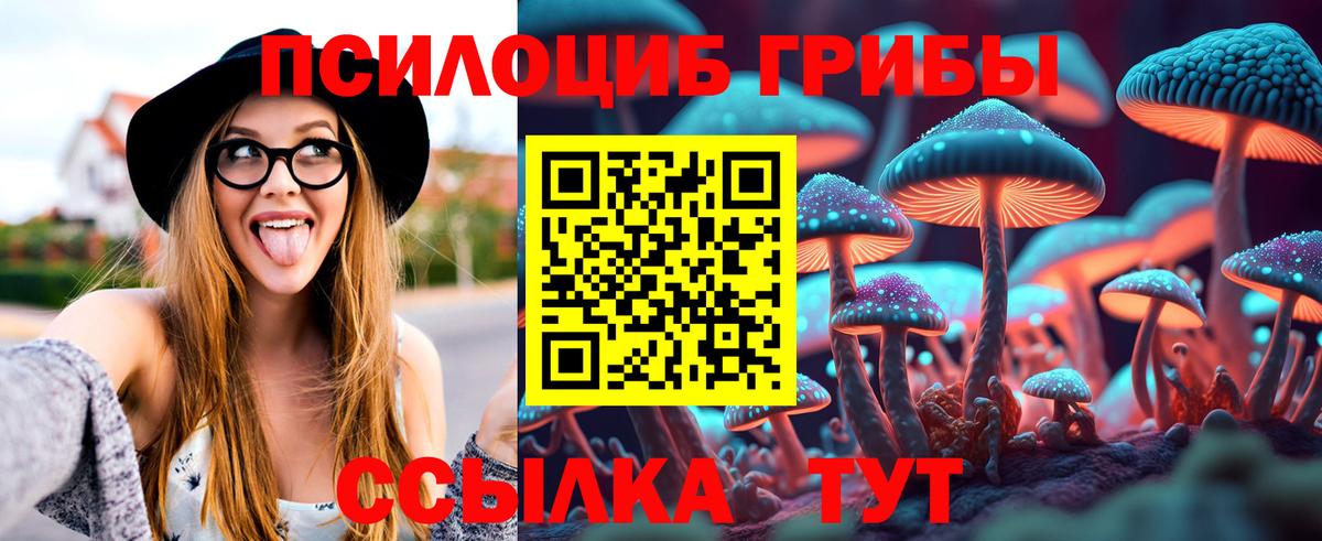 Серов  дарнет шоп  Вход с VPN  Галлюциногенные грибы Magic Shrooms 